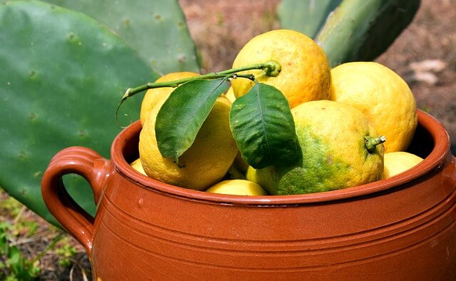 Clay Pot full of Fresh Fruits